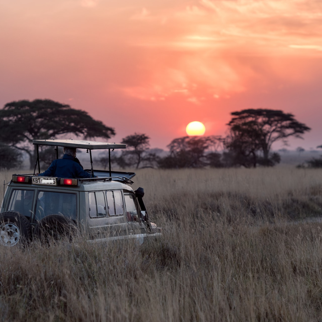 Family safari in Kenya